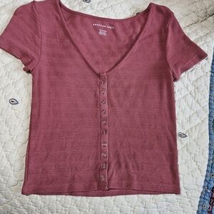 American Eagle Outfitters Mauve Rose Crop Top